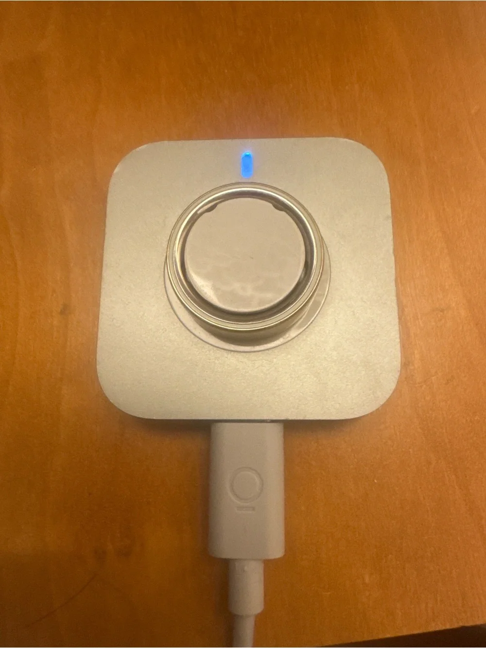 Oura Metallic Charging Dock in Silver and Gold